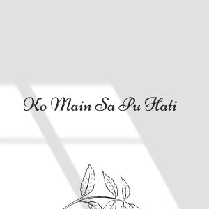 Listen to Ko Main Sa Pu Hati song with lyrics from Rana Roemokoij