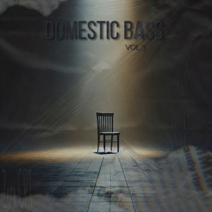 Zera CPT的專輯Domestic Bass Vol 3
