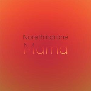 ดาวน์โหลดและฟังเพลง Norethindrone Mama พร้อมเนื้อเพลงจาก Danah Nirod