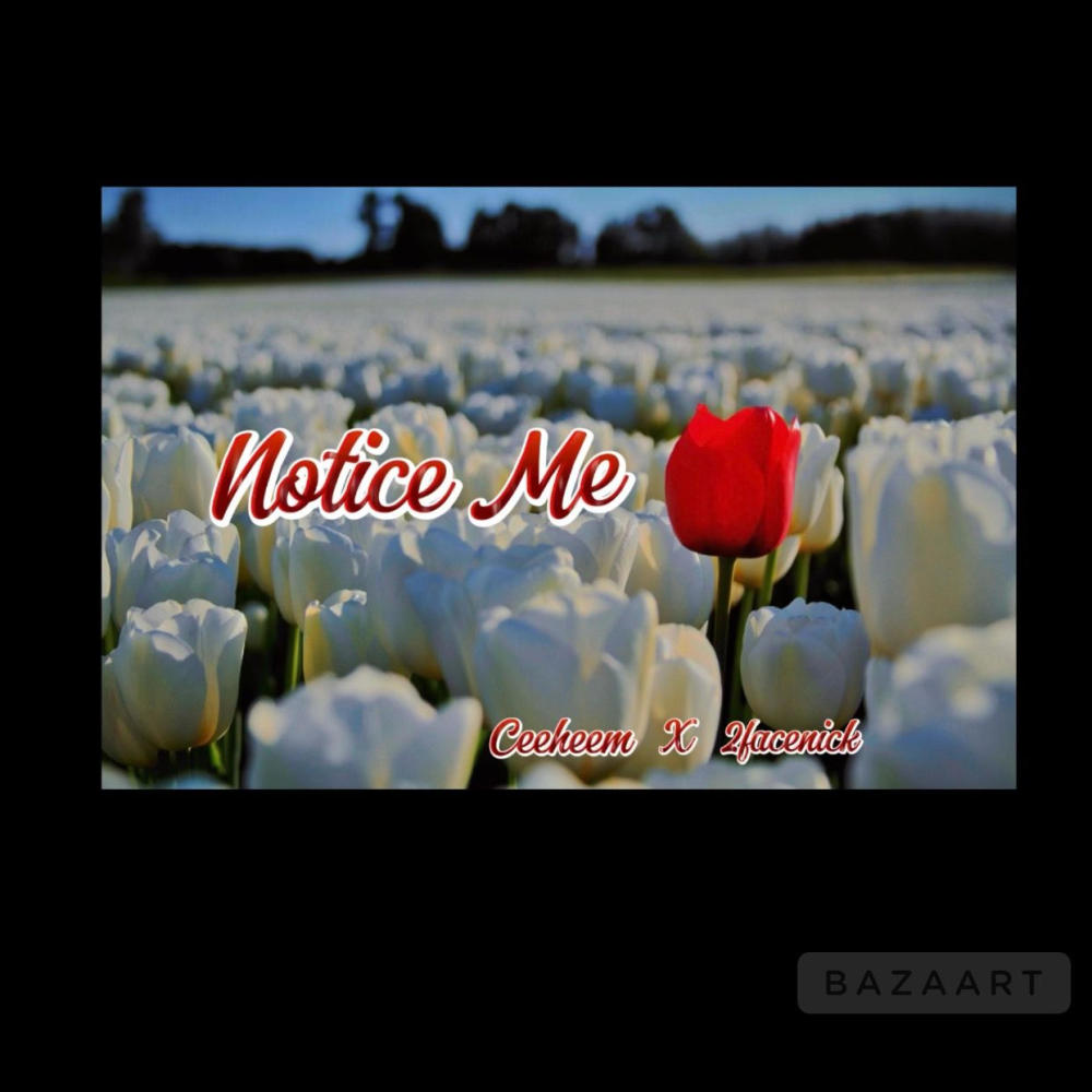 Notice me (feat. 2facenick) (Explicit)