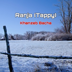 Listen to Ranja (Tappy) song with lyrics from Khanzeb Bacha