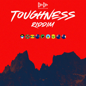 Various Artists的專輯Toughness Riddim