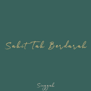 Listen to Sakit Tak Berdarah song with lyrics from Singgah