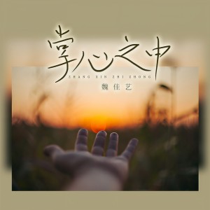 收聽魏佳藝的掌心之中（曳步舞DJ光年版） (完整版)歌詞歌曲