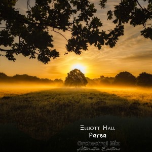 Elliott Hall的專輯Parea (Orchestral Mix)