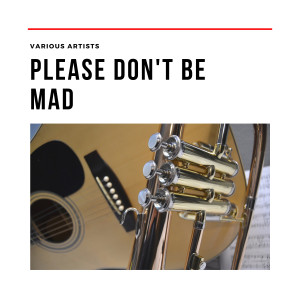 Album Please Don't Be Mad from Various