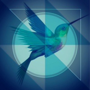Album Bird Tribe from Ganesha Cartel