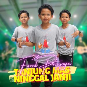 Listen to Tanjung Mas Ninggal Janji song with lyrics from Farel Prayoga