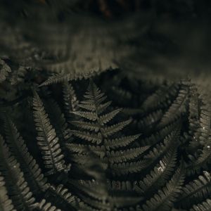 收听SPA的Yoga歌词歌曲