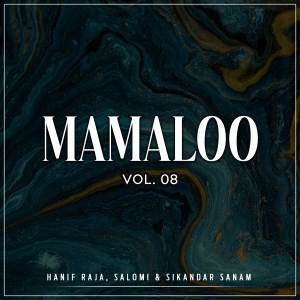 ดาวน์โหลดและฟังเพลง Tutla Tiwari พร้อมเนื้อเพลงจาก Hanif Raja