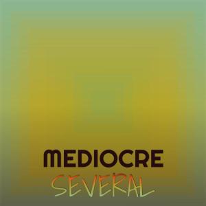 อัลบัม Mediocre Several ศิลปิน Various