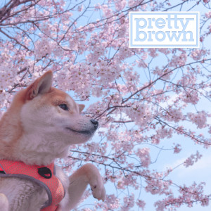 อัลบัม Just Like Now ศิลปิน Pretty Brown