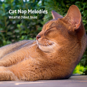 Album Cat Nap Melodies: Waterfall Chillout Sound oleh Natural Waters