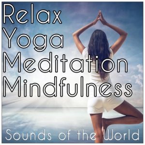 ดาวน์โหลดและฟังเพลง Musica De Yoga พร้อมเนื้อเพลงจาก Relajacion Del Mar