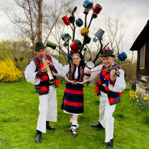 收听Camelia Pop的Avut-Am Bine Si Trai歌词歌曲