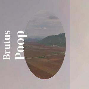 收听Phio Chede的Brutus Poop歌词歌曲