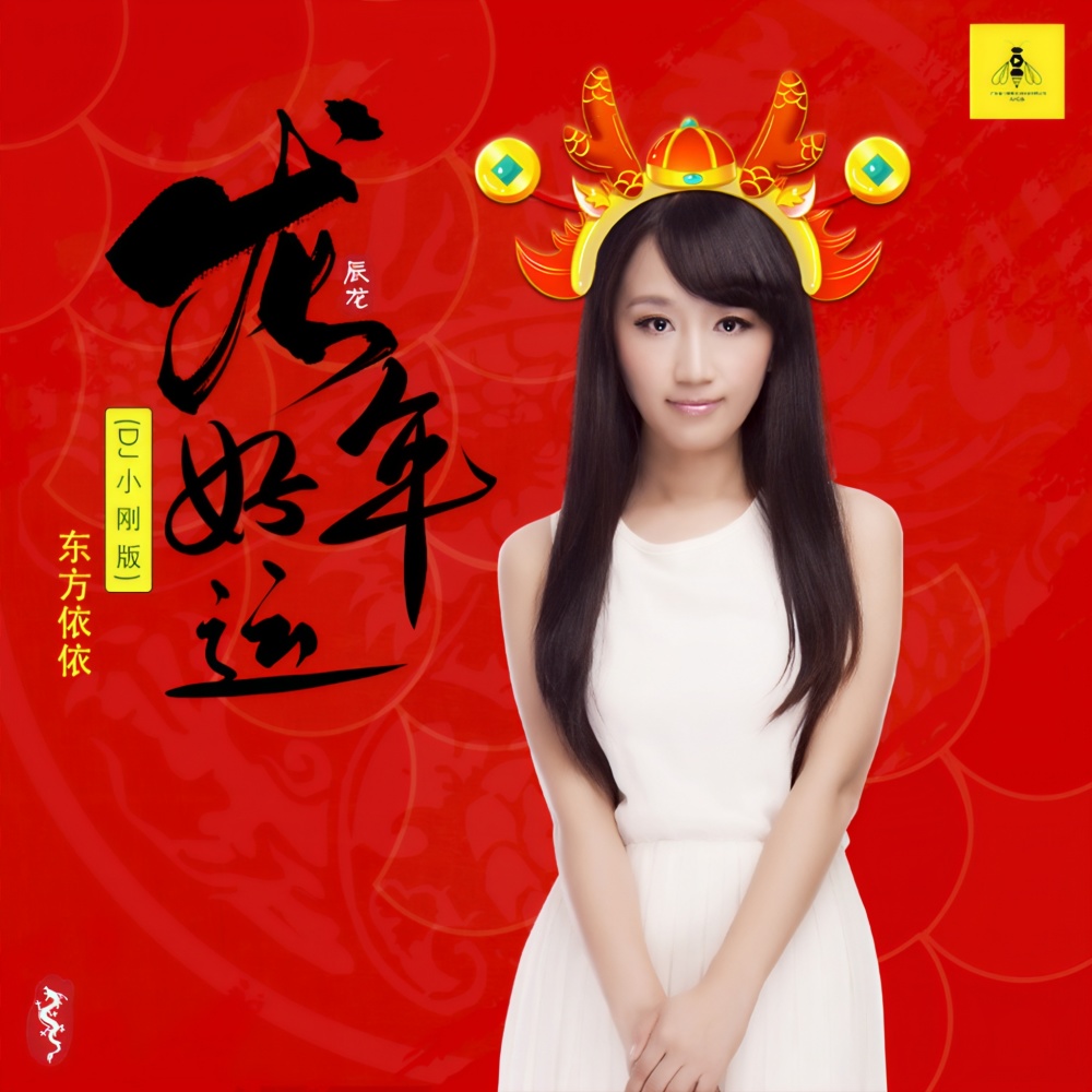 龙年好运 (DJ小刚广场舞版伴奏)