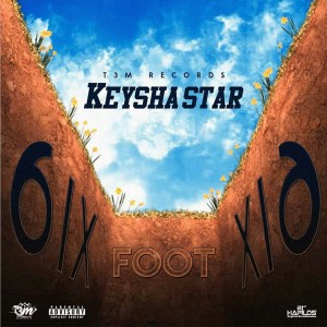 ดาวน์โหลดและฟังเพลง 6ix Foot 6ix (Raw) (Explicit) (Raw|Explicit) พร้อมเนื้อเพลงจาก Keysha Star