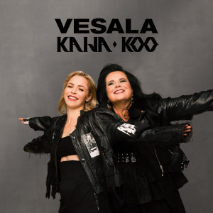 ดาวน์โหลดและฟังเพลง Nopee hopee พร้อมเนื้อเพลงจาก Vesala