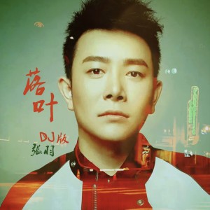 Listen to 落叶（DJ） (伴奏) song with lyrics from 张羽