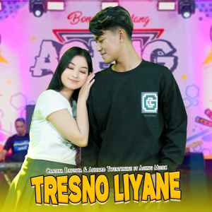 Cantika Davinca的专辑Tresno Liyane
