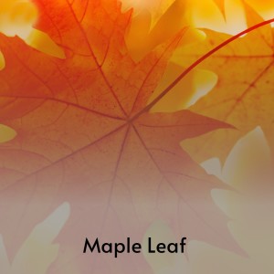 Dengarkan lagu Maple Leaf Rag nyanyian Tommy Dorsey & His Orchestra With Frank Sinatra dengan lirik