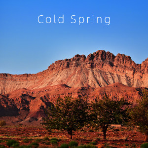 Album Cold Spring from Annie