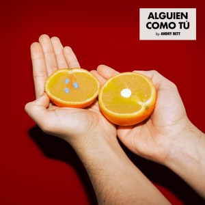 Album Alguien Como Tú from Andry Bett