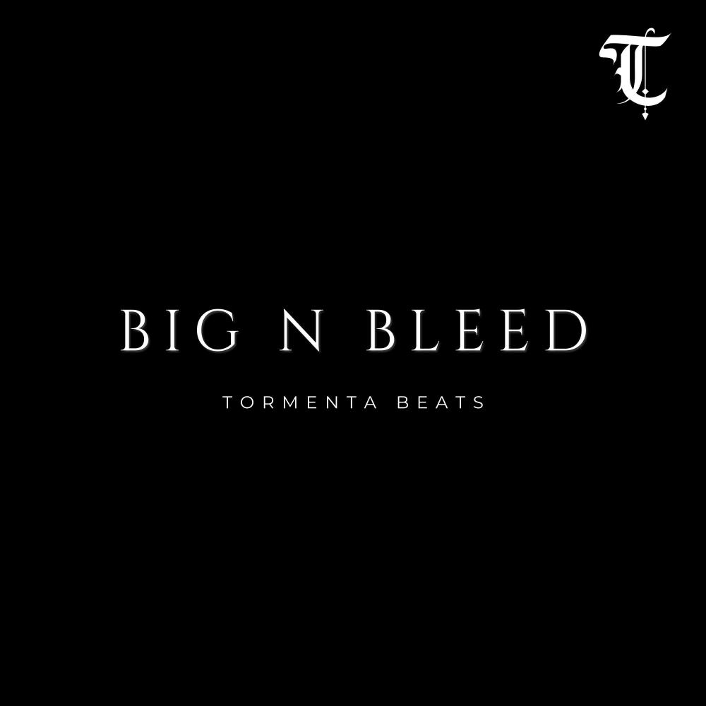 BIG N BLEED (Boom Bap Beat)
