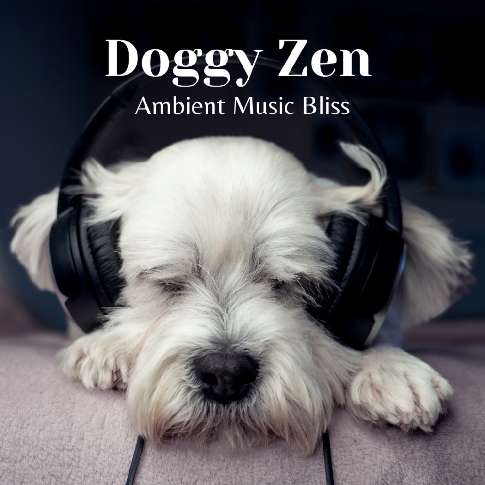 Ambient Music Leash Calm