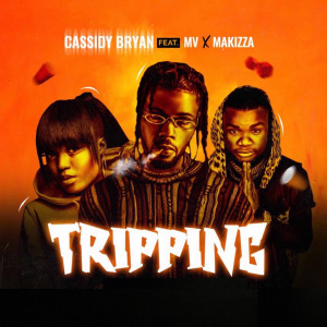 ดาวน์โหลดและฟังเพลง Tripping พร้อมเนื้อเพลงจาก Cassidy Bryan