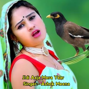 收聽Ashok Meena的Jldi Aaja Mera Yaar歌詞歌曲