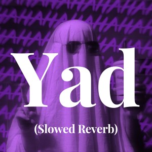 Dengarkan Yad (Slowed Reverb) lagu dari Narresh Narrayan dengan lirik