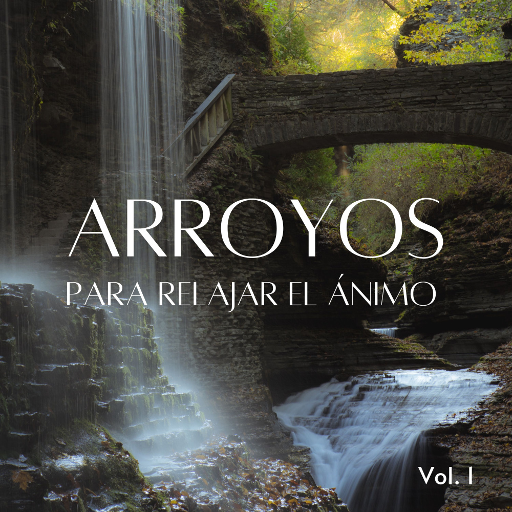 Música De Cascada Con Pájaros