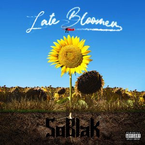 Listen to On My Own (Explicit) song with lyrics from Soblak