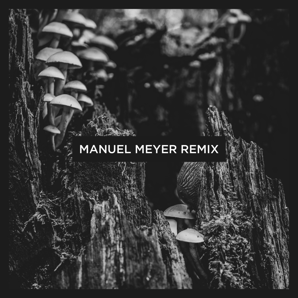 Kepler (Manuel Meyer Remix)