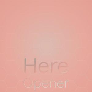 Listen to Rubber Scene song with lyrics from Marh Lesner
