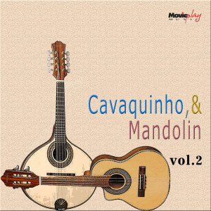 收聽Evandro do Bandolin e seu Regional的Brasileirinho歌詞歌曲