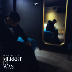 Schubi AKpella的專輯Merkst du was (Explicit)