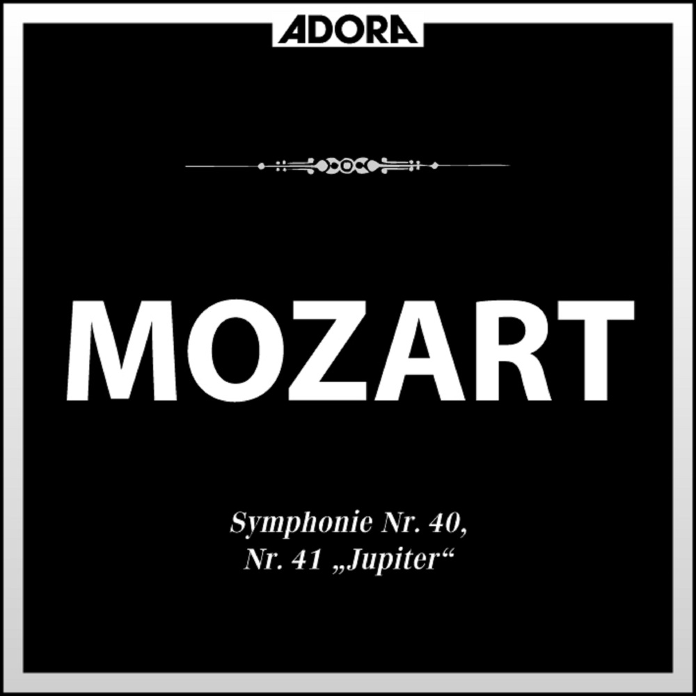 IV. Finale - Molto allegro