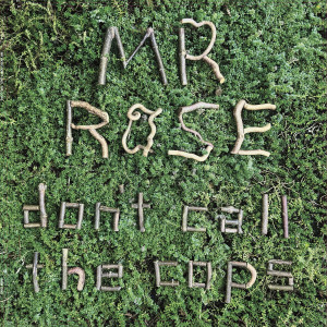 ดาวน์โหลดและฟังเพลง Man in a Knot พร้อมเนื้อเพลงจาก Mr. Rose