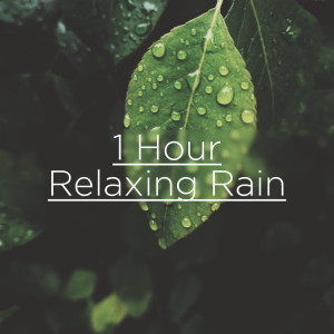 Listen to Rain Hitting Tin Roof song with lyrics from Rain Sounds