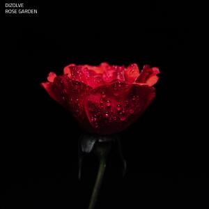 Album Rose Garden (feat. Moodlighterz) from 