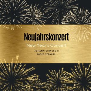 Album Neujahrskonzert (New Year's Concert) from Various Artists