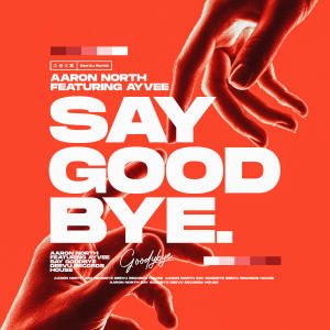 Listen to Say Goodbye song with lyrics from Aaron North