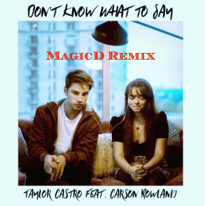 Listen to Don't Know What to Say (Remix) song with lyrics from Taylor Castro