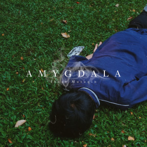 Listen to Amygdala song with lyrics from Ihsan Mutaqin