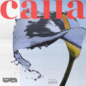 อัลบัม calla ศิลปิน wave to earth