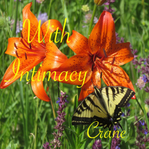 Album With Intimacy from 