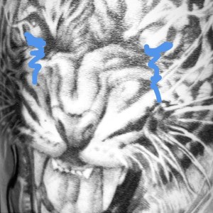 Dengarkan Tiger Cry Freestyle lagu dari Lazyloxy dengan lirik